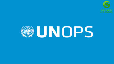Project Management Intern (Innovation Scaling) - UNOPS