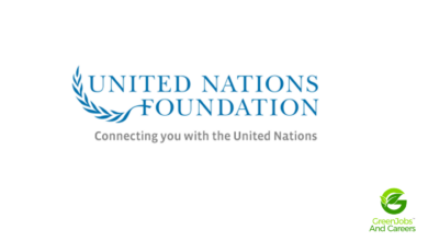 UNITED NATIONS FOUNDATION INTERNSHIP - GLOBAL NETWORKS & PARTNERSHIPS, CLEAN COOKING ALLIANCE
