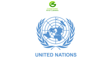UN Public Service Awards 2024 (UNPSA)